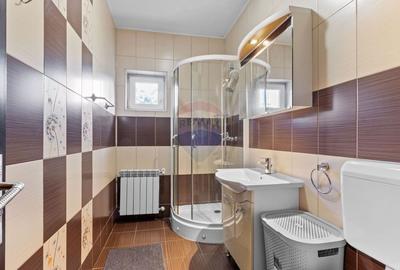 Apartament spatios cu 2 camere de inchiriat in zona Podgoria - 8