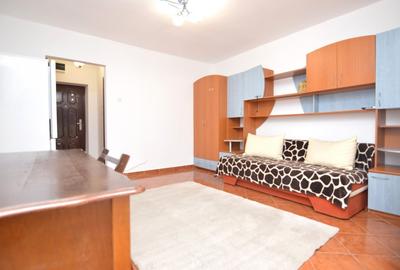 INCHIRIERE GARSONIERA DRISTOR - RACARI - LOC DE PARCARE - 2