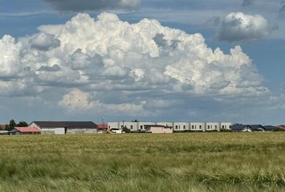 Vanzare Teren  construibil Cernica Balaceanca 1000mp - 10