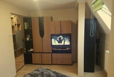 Apartament cu o camera calea Sagului - 4