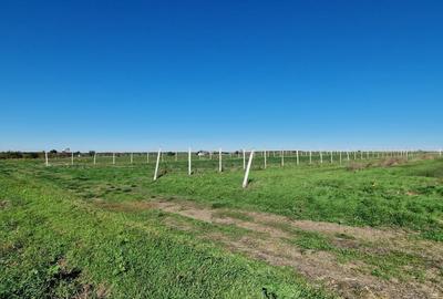 Costinesti loturi intravilane construibile 400-600mp direct de la proprietar - 3