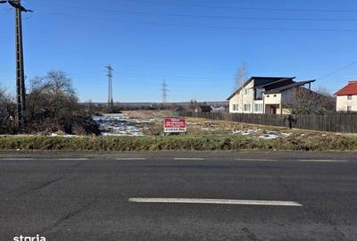 Teren de 5000 mp, în Răzvad - 3