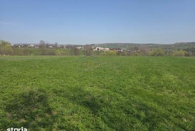 Teren de 15000 mp, în Ilișești