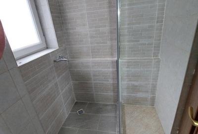 Garsonieră semidecomandată, mobilată în Drumul Taberei - 8