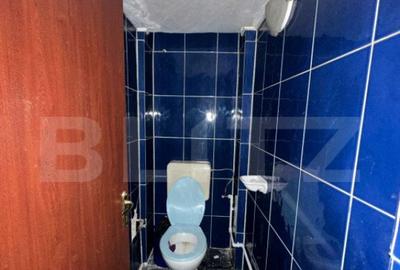 Spatiu comercial, 293 mp/129 mp, zona ultracentrala cu Vad - 6