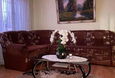 Apartament cu 2 camere decomandat în Exterior Vest - 7