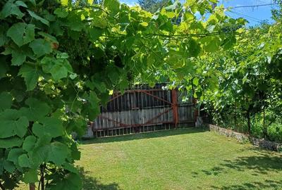 Casă cu 5 camere cu Teren 3000 Mp în Ștefănești - 2