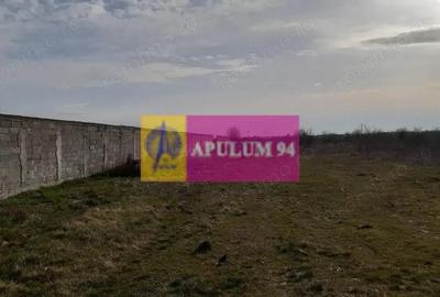 Teren de 369 mp, în 1 Decembrie