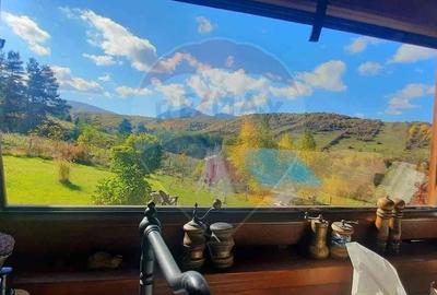 Casă cu 2 camere cu Teren 3100 Mp în Tărlungeni - 9