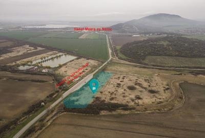 Teren extravilan in Ineu - 11