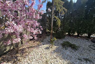 Casă cu 4 camere în Freidorf - 11