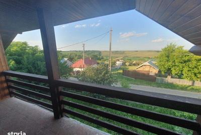 Teren de 16000 mp, în Todirești - 1