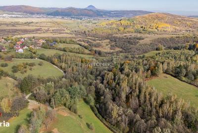 Spațiu comercial, în Predeluț - 8