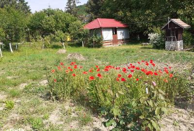 Casă cu 2 camere cu Teren 1500 Mp în Corunca