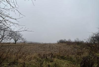 Spațiu comercial, în Siliștea - 2