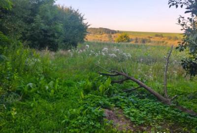 Casă cu 2 camere cu Teren 3500 Mp în Negostina - 5