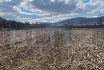 Teren de 500 mp, în Central - 1