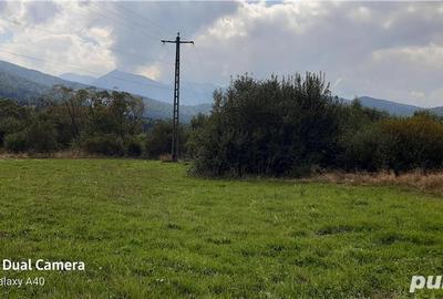 Teren de 700 mp, în Sâmbăta de Sus - 5