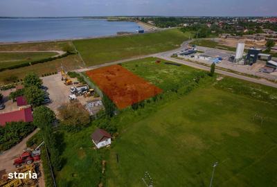 Teren de 2500 mp, în Ștefăneștii de Jos - 10