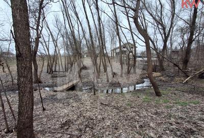 Duplex cu 7 camere cu Teren 2354 Mp în Malu Mare - 11