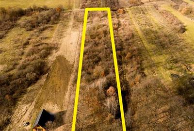 Teren Construcții intravilan de 5361 mp, în Vadu Crișului - 8