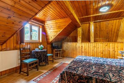 Vila/Pensiune de vanzare in Sinaia 450 mp, langa... - 13
