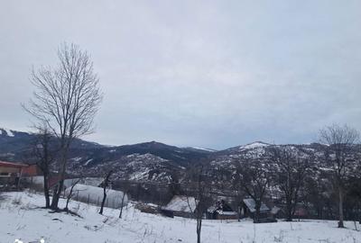 Casă cu 4 camere cu Teren 12000 Mp în Central - 2