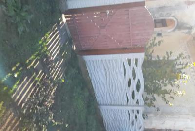 Casă cu 4 camere în Șiacu - 10