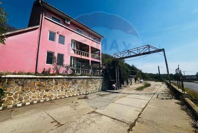 Casă P+E+M cu spălătorie auto și restaurant la DN 7 în LIPOVA - 2