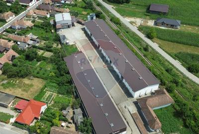 Spa?iu industrial de vanzare in Sangeorgiu de Padure... - 2
