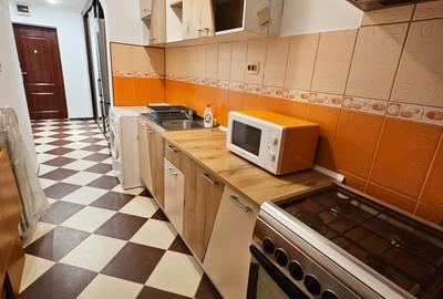 Garsonieră decomandată, mobilată în Nerva Traian - 9