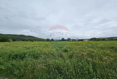 Teren de 1495 mp, în Dobreni - 11