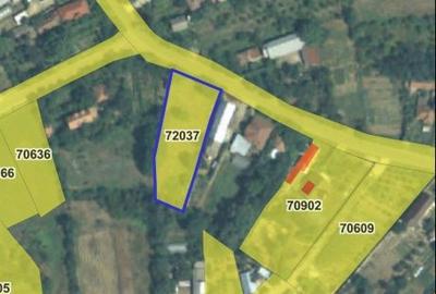 Spațiu comercial, în Central