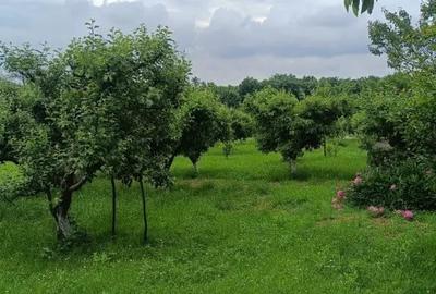 Casă cu 5 camere în Central - 5