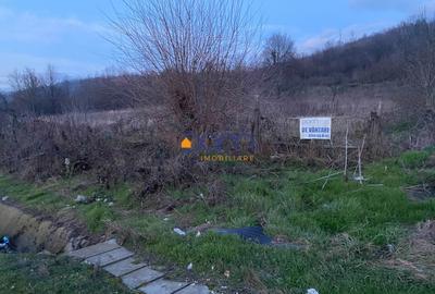 Teren intravilan 4836 mp Mehadia cu Fs la E70 - 2