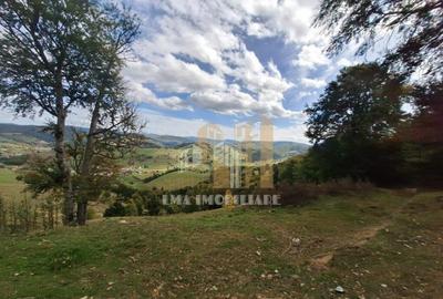 Teren de 40000 mp, în Central - 17