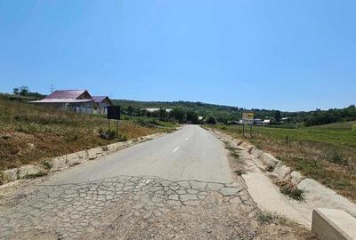 Teren 2.340mp, Dancas Miroslava, - 4