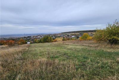 Teren Intravilan 2460 mp - Burdujeni Sat! - 1