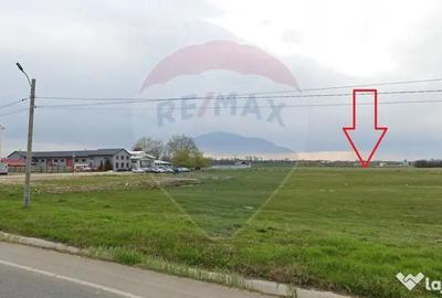 Teren de 4600 mp, în Podari - 4