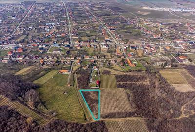 Teren intravilan în Șiria pe deal - 2