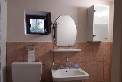 Apartament cu 2 camere decomandat în Bogdăneștilor - 6