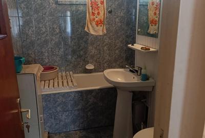 3 camere Darmanesti - 4