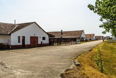 Fermă Mândruloc 2,5 ha - 3