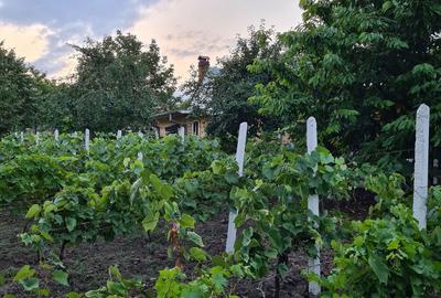 Casă cu 6 camere cu Teren 1100 Mp în Cozia - 2