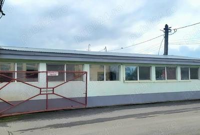 Spatiu de inchiriat Calea Stan Vidrighin - 10