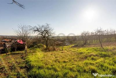 Casă cu 3 camere cu Teren 800 Mp în Cetariu - 9