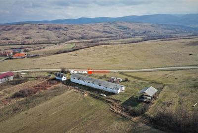 MICRO-FERMA CASA IN VOIVOZI - BIHOR - 21