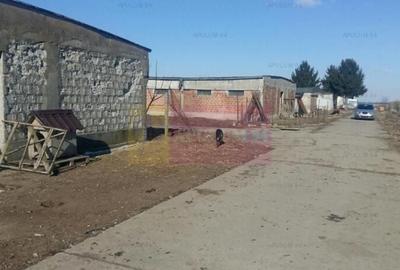 Teren Construcții intravilan de 15750 mp, în Balotești - 4