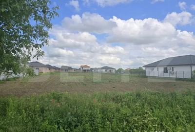 Teren de 3500 mp, în Păulești - 1