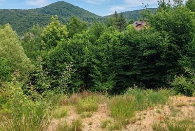 Teren de 900 mp, în Tăuții-Măgherăuș - 4